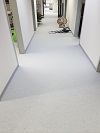 eine grafik
